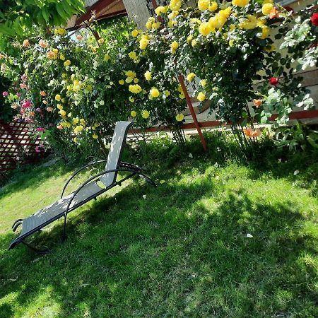 Casa De Vacanta Alexoiu 2 ไม ภายนอก รูปภาพ