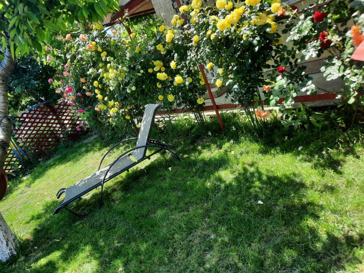 Casa De Vacanta Alexoiu 2 ไม ภายนอก รูปภาพ